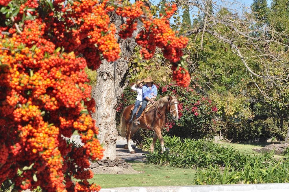 Hotel Hacienda Cantalagua Golf Contepec Eksteriør bilde